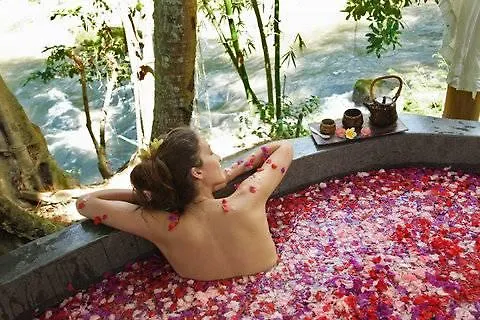 Fivelements Retreat Bali Hotel Ubud