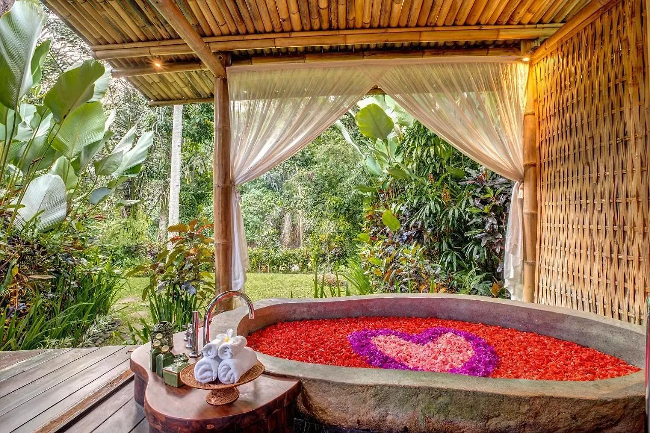 Fivelements Retreat Bali Hotel Ubud  Indonesia